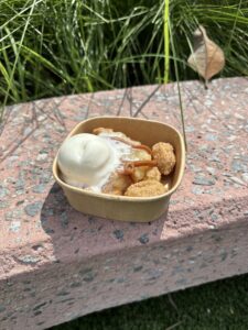 epcot churro sundae