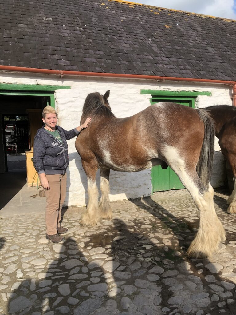 tour stop in Southern Ireland